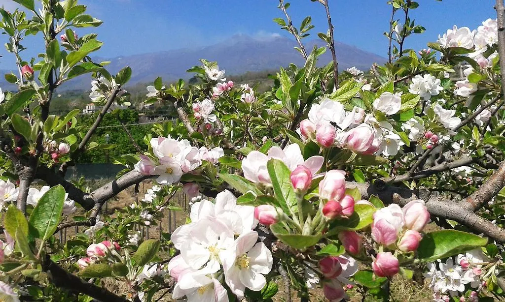 Holiday home Nake Residenza Artistica Villa Sant'Alfio