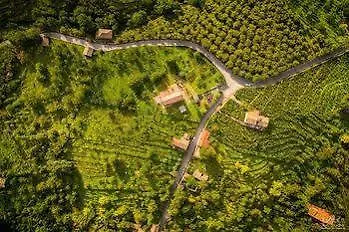 Holiday home Nake Residenza Artistica Villa Sant'Alfio